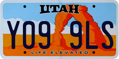 UT license plate Y099LS