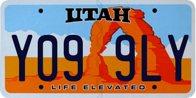 UT license plate Y099LY