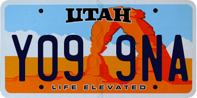 UT license plate Y099NA