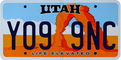 UT license plate Y099NC