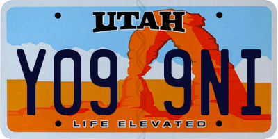 UT license plate Y099NI