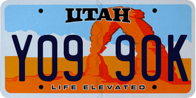 UT license plate Y099OK
