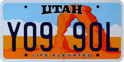 UT license plate Y099OL