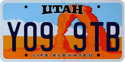 UT license plate Y099TB