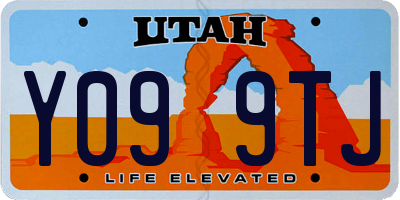UT license plate Y099TJ