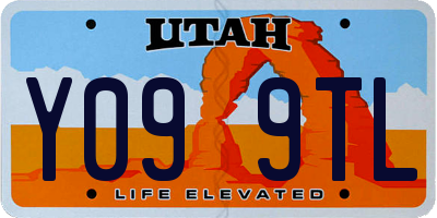 UT license plate Y099TL