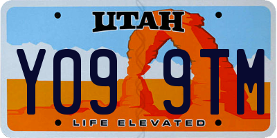 UT license plate Y099TM
