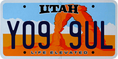 UT license plate Y099UL