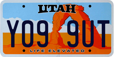 UT license plate Y099UT