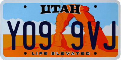 UT license plate Y099VJ
