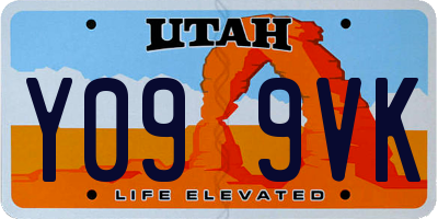 UT license plate Y099VK