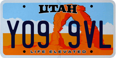 UT license plate Y099VL