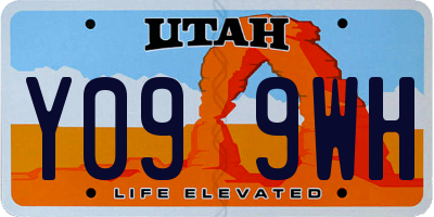 UT license plate Y099WH
