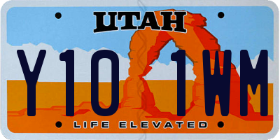 UT license plate Y101WM