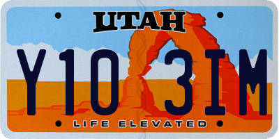UT license plate Y103IM