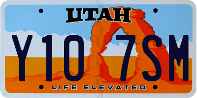 UT license plate Y107SM