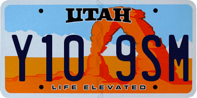 UT license plate Y109SM