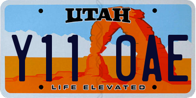 UT license plate Y110AE