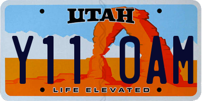 UT license plate Y110AM