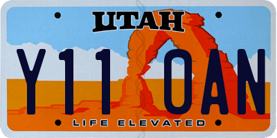 UT license plate Y110AN