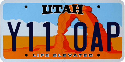 UT license plate Y110AP