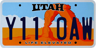 UT license plate Y110AW