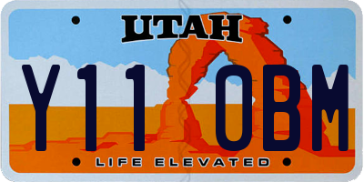 UT license plate Y110BM