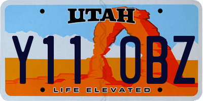 UT license plate Y110BZ