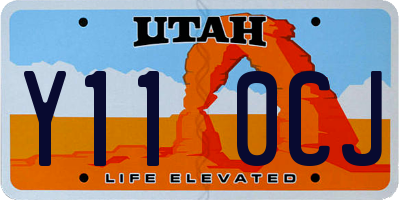 UT license plate Y110CJ