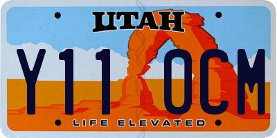 UT license plate Y110CM