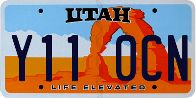 UT license plate Y110CN