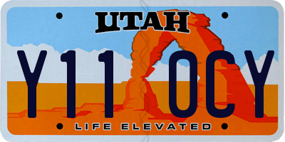 UT license plate Y110CY