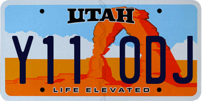 UT license plate Y110DJ