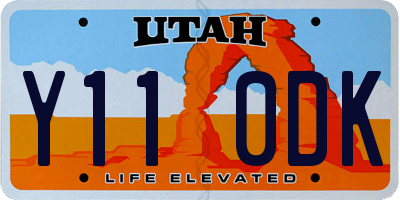 UT license plate Y110DK