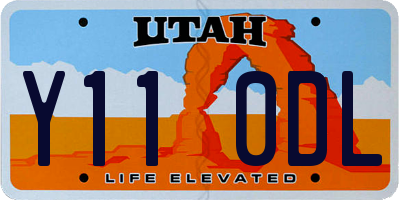 UT license plate Y110DL