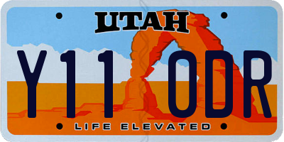 UT license plate Y110DR