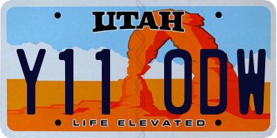 UT license plate Y110DW