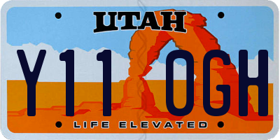 UT license plate Y110GH