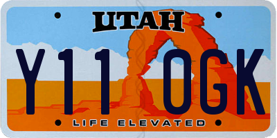 UT license plate Y110GK
