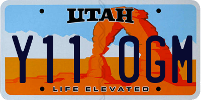 UT license plate Y110GM