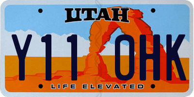 UT license plate Y110HK