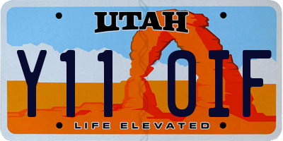 UT license plate Y110IF