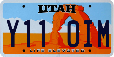 UT license plate Y110IM