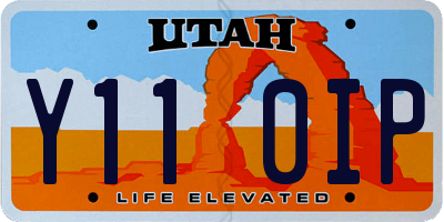 UT license plate Y110IP