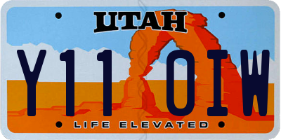 UT license plate Y110IW