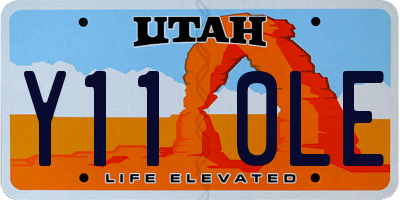 UT license plate Y110LE