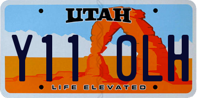 UT license plate Y110LH