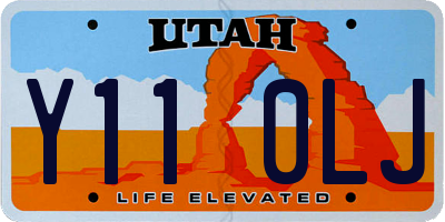 UT license plate Y110LJ