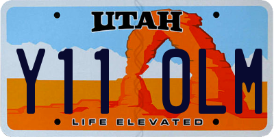 UT license plate Y110LM