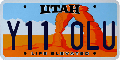 UT license plate Y110LU